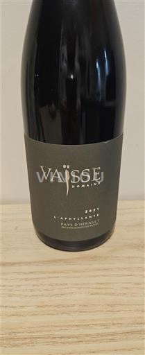 Languedoc și Roussillon Hérault Domaine Vaisse L’Aphyllante 2021