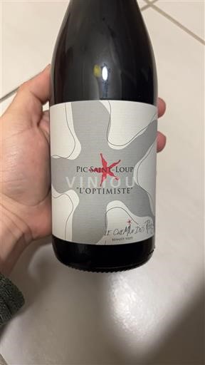 Langvedok Pic-saint-loup Le Champ des Pères L'Optimiste 2021