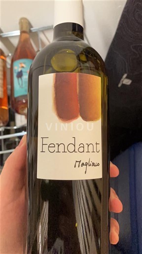 Valais Fendant Magliocco Fendant 2024