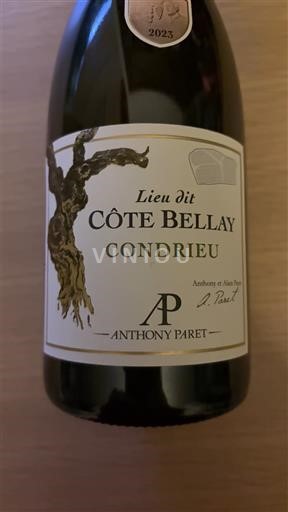 Vin Blanc sec Lieu dit Côte Bellay Anthony Paret 2023 France Vallée du Rhône Condrieu AOC