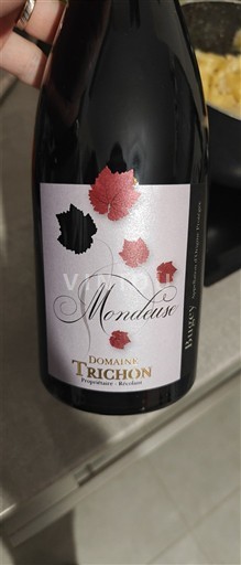 Vin Rouge sec Domaine Trichon 2023 France Savoie et Bugey Bugey AOC