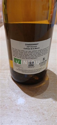 Wines Blanc sec Domaine Saumarez Non millésimé France Languedoc Not Specified AOC