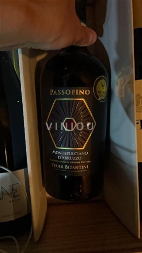 Abruzzo Montepulciano d'Abruzzo Feudi Bizantini Passofino 2021