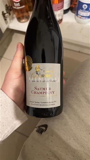 Loiren laakso Saumur-champigny Domaine S Hauts de Sanziers Amane 2022