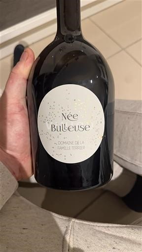 Burgundy Crémant de Bourgogne Domaine La Famille Terrier Née Bulleuse Non-Vintage