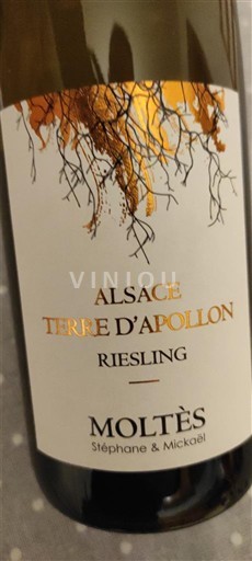 Alsace Riesling Moltès Terre d'Apollon 2023