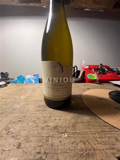 Burgundy Santenay Pierre Brazey Les bras 2023