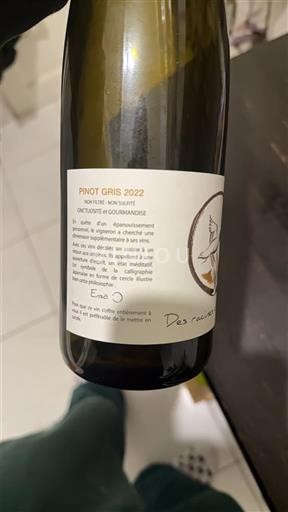 Vin Blanc sec Des racines et des ailes 2022 France Alsace AOC
