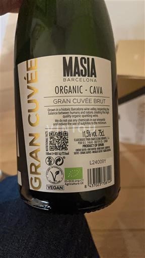 Katalonien Cava Masia Gran Brut Icke årgångsbetecknad