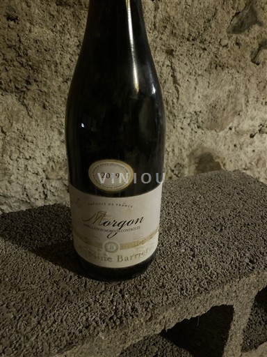 Beaujolais Morgon Domaine Barrial 2019