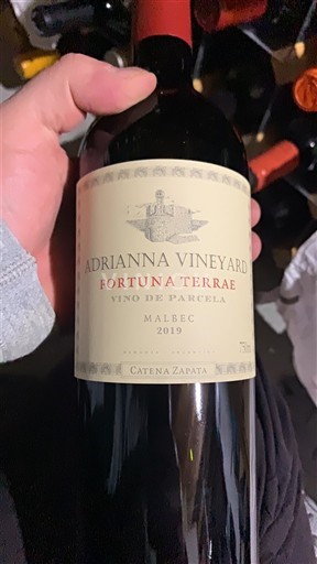 Mendoza Adrianna Vineyard Fortuna Terrae 2019