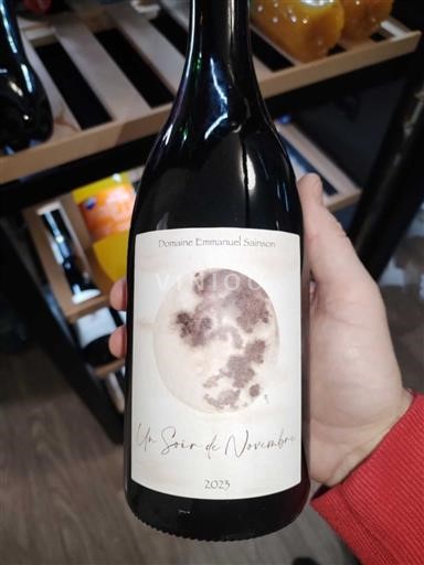 Valle del Loira No especificado Domaine Emmanuel Sainsion Un Soir de Novembre 2023
