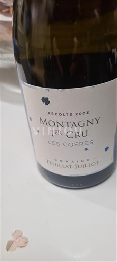 Bourgondië Niet gespecificeerd Premier Cru Domaine Feuillat-Juillot Les Coères 2023