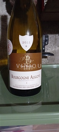 Burgundy Bourgogne Aligoté Les Petits Bourgeons 2022