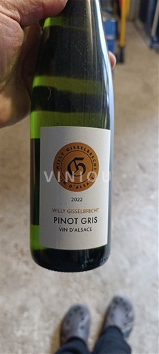 Elzas Pinot grigio Château Willy Gisselbrecht 2022