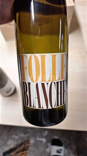 Valle della Loira Gros-plant-del-paese-nantese Folle Blanche 2024