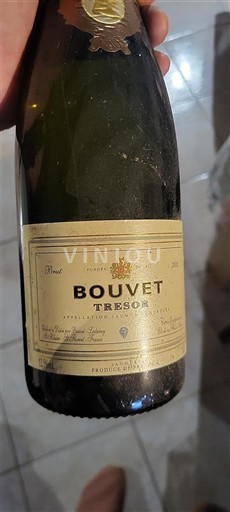 Valle della Loira Saumur Bouvet Trésor Senza annata