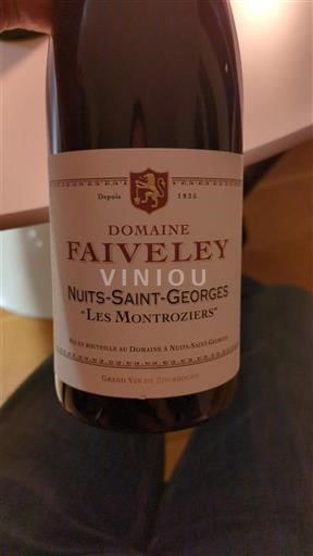 Borgogna Nuits-Saint-Georges Domaine Faiveley Les Montroziers 2020