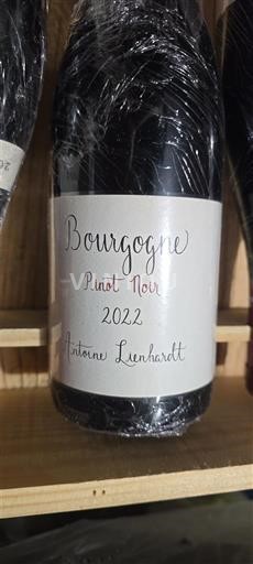Burgundi Bourgogne Antoine Lienhardt Pinot noir 2022
