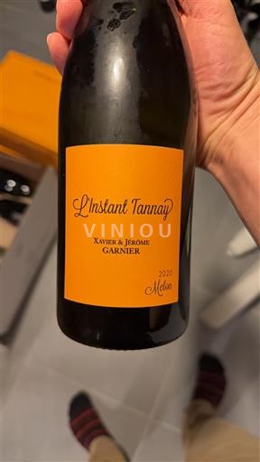 Valle della Loira Coteaux di Tannay Xavier & Jérôme Garnier L'Instant Tannay 2020