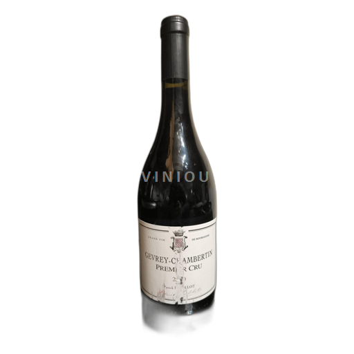 Bourgogne Gevrey-chambertin Patrick hudelot 2010