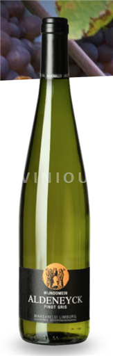 Flandry Maasvallei Limburg Wijndomein Aldeneyck 2022