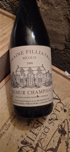 Loiren laakso Saumur-champigny Domaine Filliatreau 2006