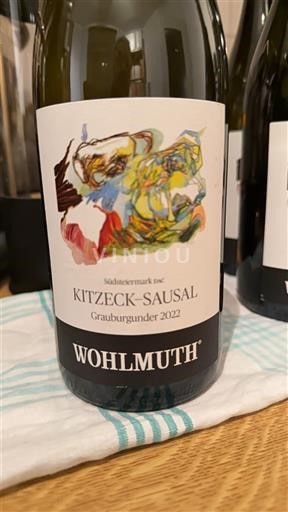 Štajerska Južna Štajerska DAC Wohlmuth 2022