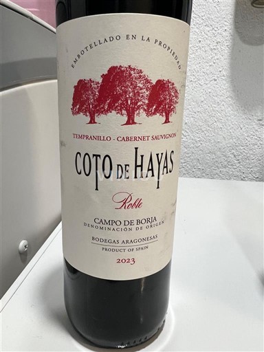 Aragonie Campo de Borja Bodegas Aragonesas Roble 2023