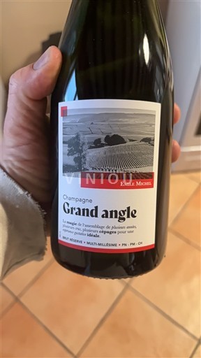 Champagne Šampanské Emile Michel Grand angle Neročník