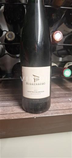 Pfalz Herrenberg 2011