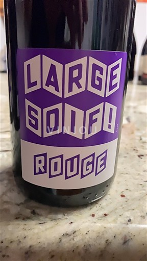 Vinos Rouge sec Large Soif! Rouge Terra Vita Vinum 2020 Francia Valle del Loira Vin de France