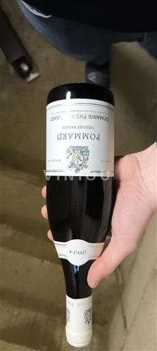 Burgundi Pommard Domaine Parigot 2024