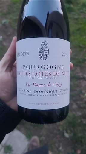 Burgundsko Nespecifikováno Domaine Dominique Guyon Les Dames de Vergy 2023