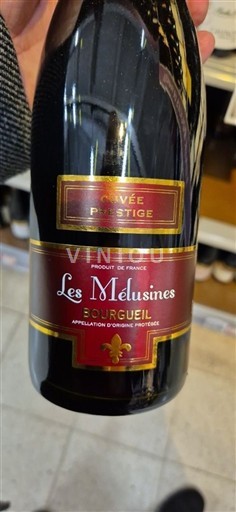 Valle della Loira Bourgueil Les Mélusines Prestige Senza annata