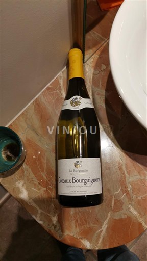 Borgogna Coteaux borgognoni La Bourgogne 2023