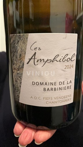 Valle del Loira No especificado Domaine La Barbinière Les Amphibol 2024