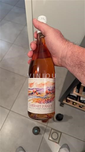 Vinos Rosé sec 2019 Domaine Petit Soumard Non millésimé Francia Valle del Loira Cabernet-d'Anjou AOC