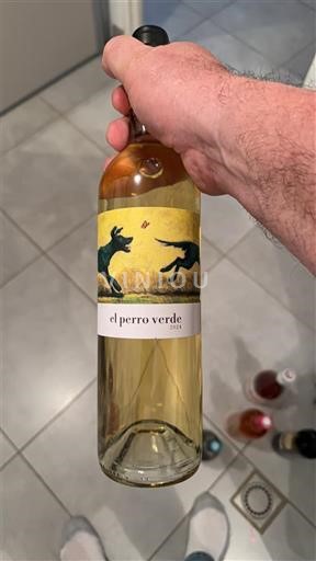 Castela e Leão Rueda El Perro Verde 2021