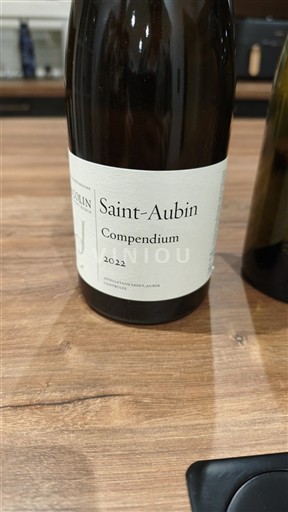 Burgundsko Saint-Aubin Jean-Claude Bachelet et Fils Compendium 2022