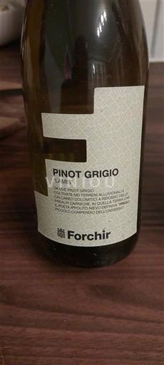 Valle d'Aosta Pinot Gris Forchir L'Anist 2022