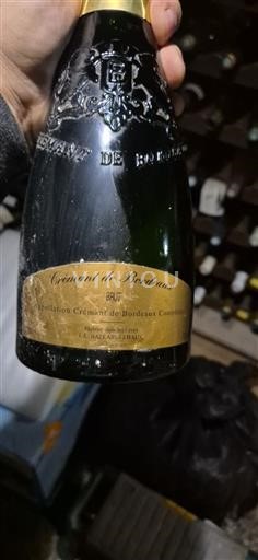 Šumivá vína Blanc brut Bordeaux Non millésimé Francie Bordeaux Crémant de Bordeaux AOC