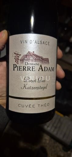 Alsácia Domaine Pierre Adam Théo 2012