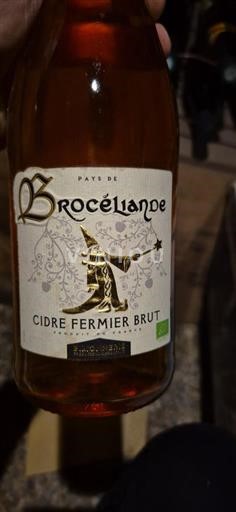 Šumivá vína Rosé brut Brocéliande Non millésimé Francie Bretan Vin de France