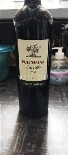 Aragon Somontano Pulchrum Crespillo 2016