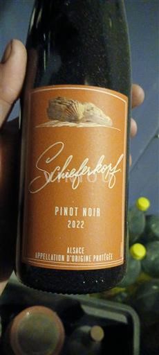 Vinhos Rouge sec Schieferkopf 2022 França Alsácia Vin de France