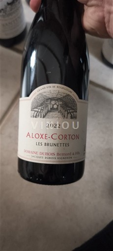 Burgundi Aloxe-Corton Domaine Bois Bernard & Fils Les Brunettes 2022