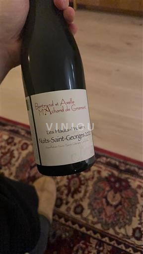 Burgundija Nuits-Saint-Georges Bertrand et Axelle Machard de Gramont Les Hauts-Pruliers 2020