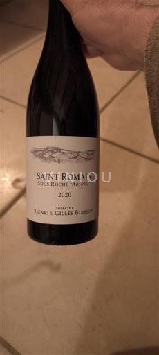 Bourgogne Saint-Romain Domaine Henri & Gilles Buisson Sous Roche 'Absolu' 2020