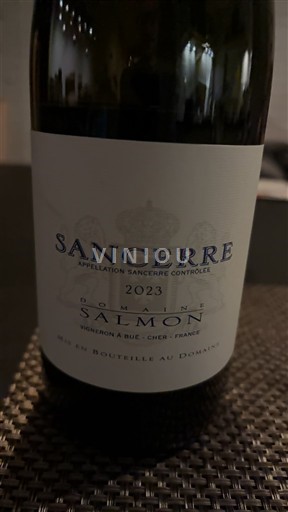Loirevallei Sancerre Domaine Salmon 2023
